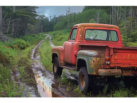 Guincho para Caminhonetes na Água Fria